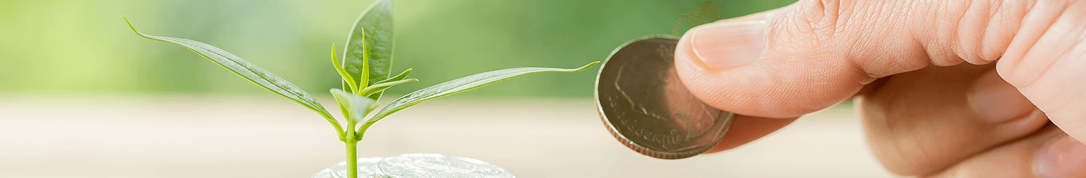 about us Page Banner