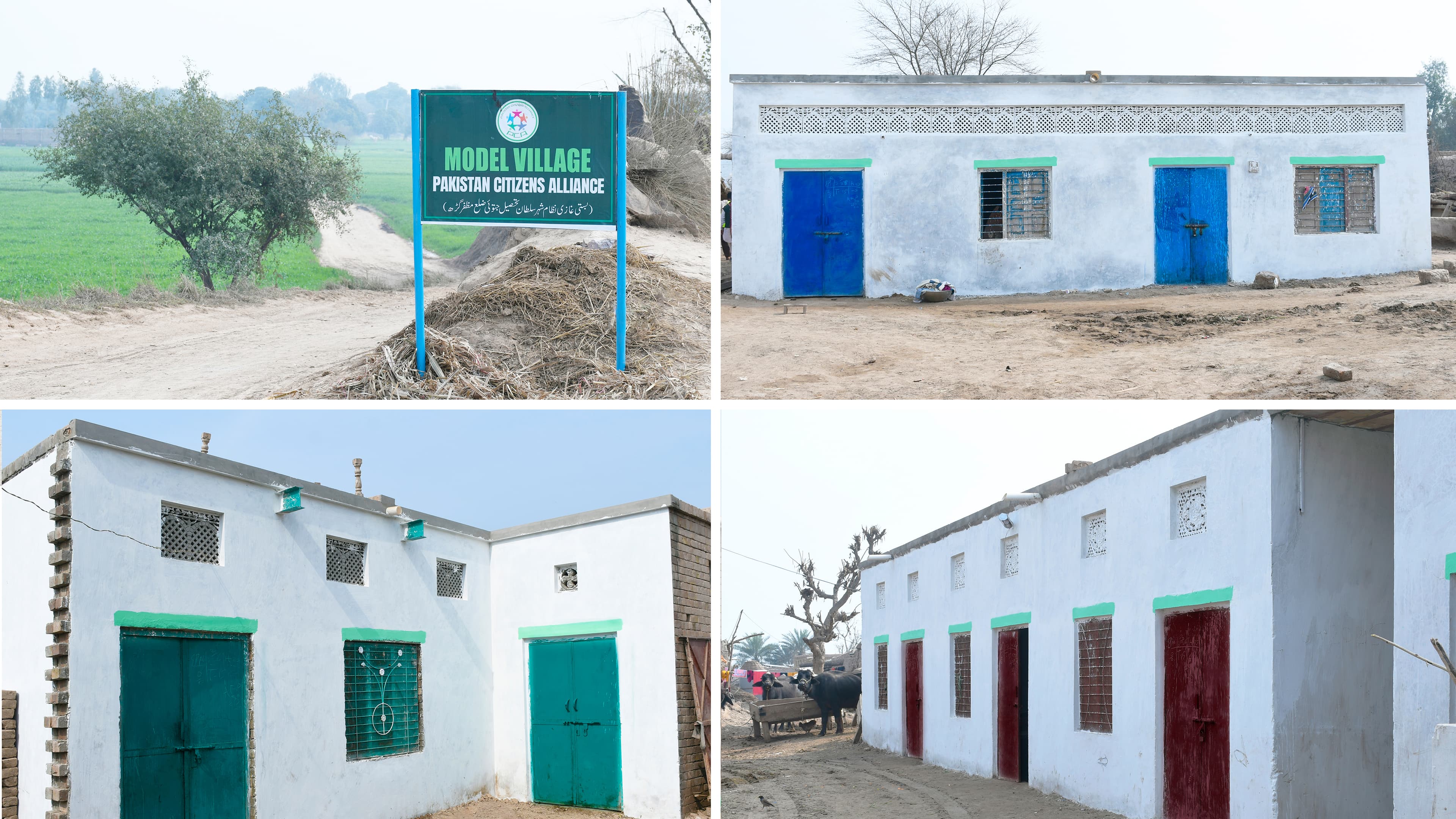 Newly constructed homes for flood-affected families in Shehr-e-Sultan, Muzaffargarh.