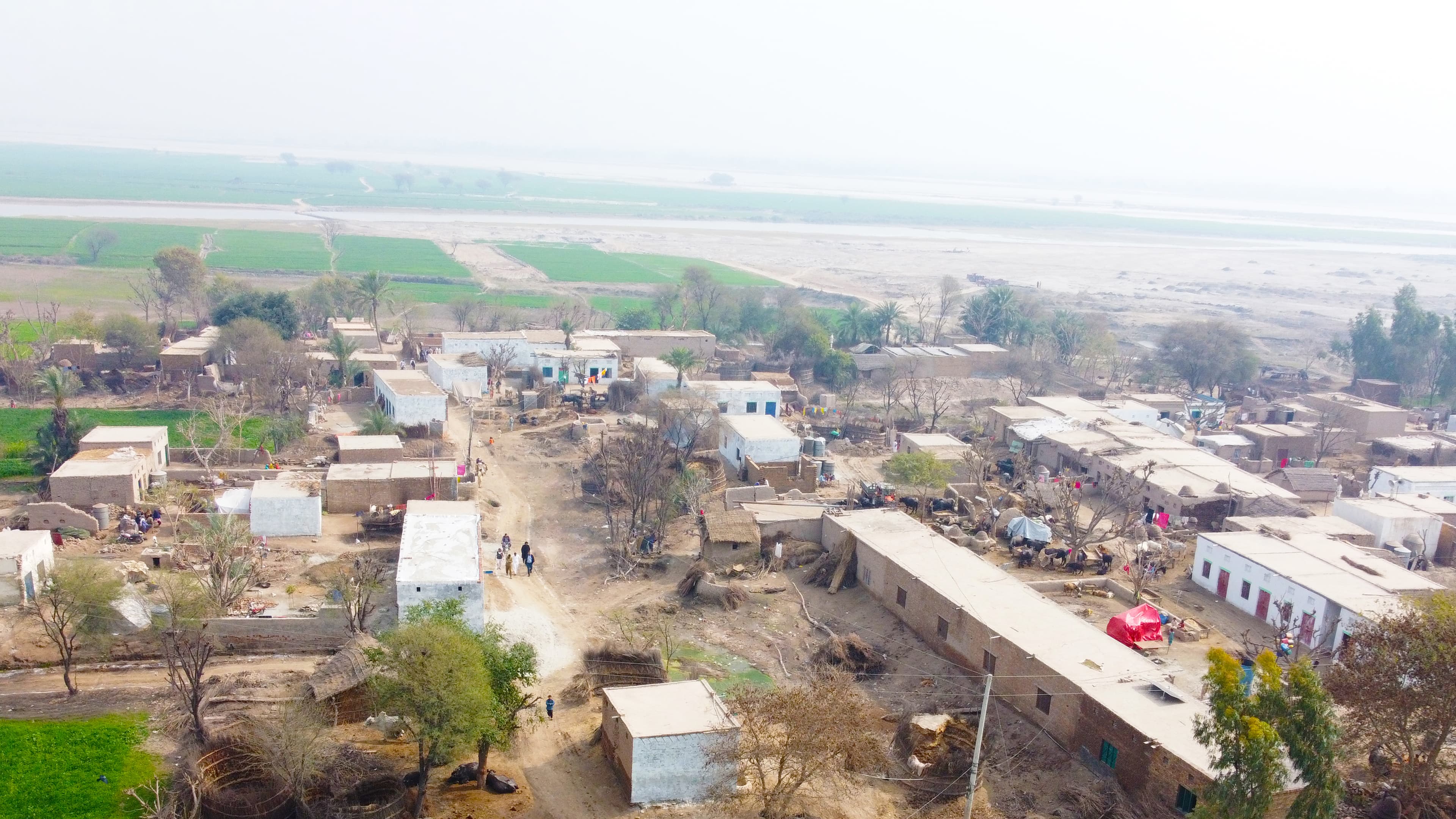 PCA Model Village comprising 75+ homes built for flood-affected families in Shehr-e-Sultan, Muzaffargarh.